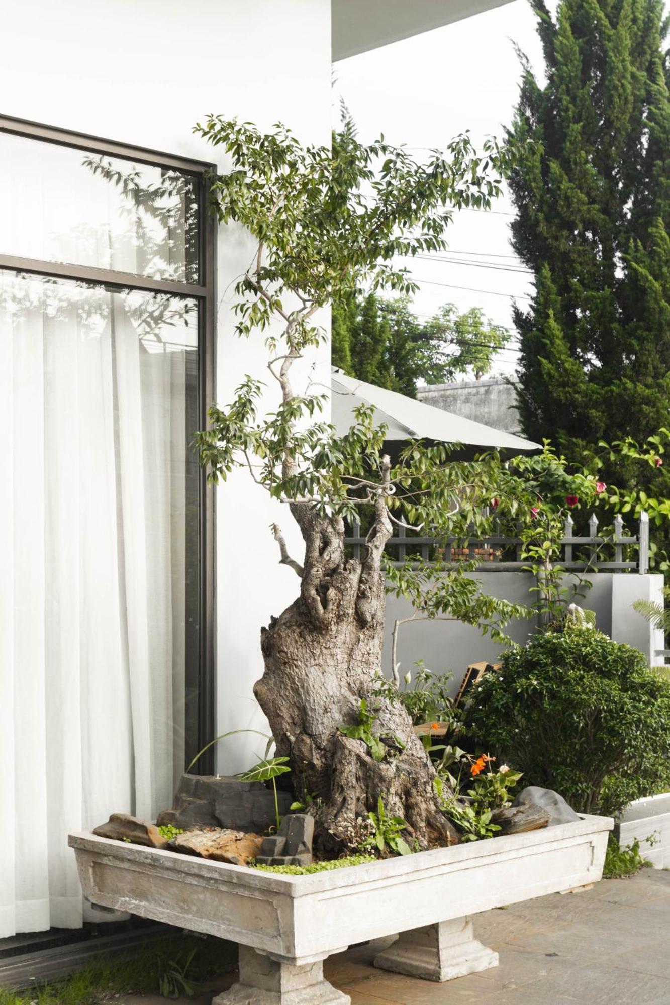 Shalom House _ Bao Loc Hotel Exterior photo